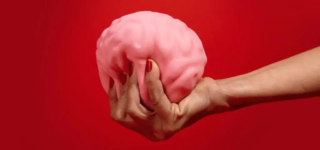 Image cerveau main